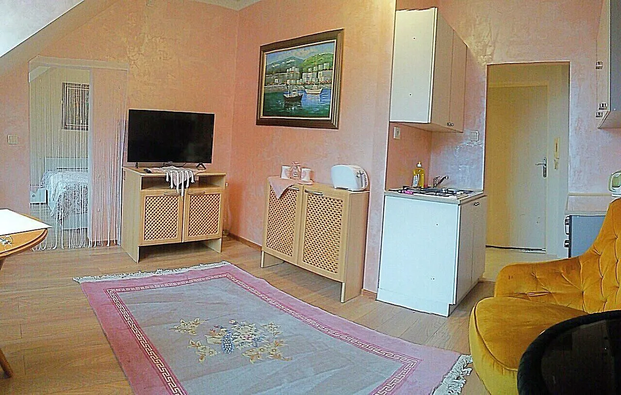 Lira 3 Apartments カルロヴィ・ヴァリ
